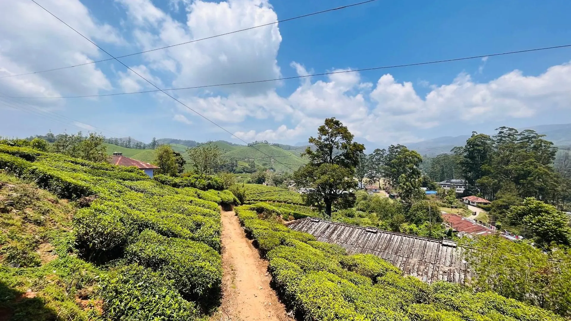 Entire Dormitory In Tea Estate Munnar